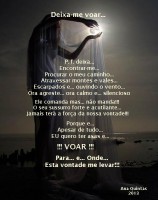 /album/galeria-de-fotos%3a-continua%c3%a7%c3%a3o/deixa-me-voar-jpg/